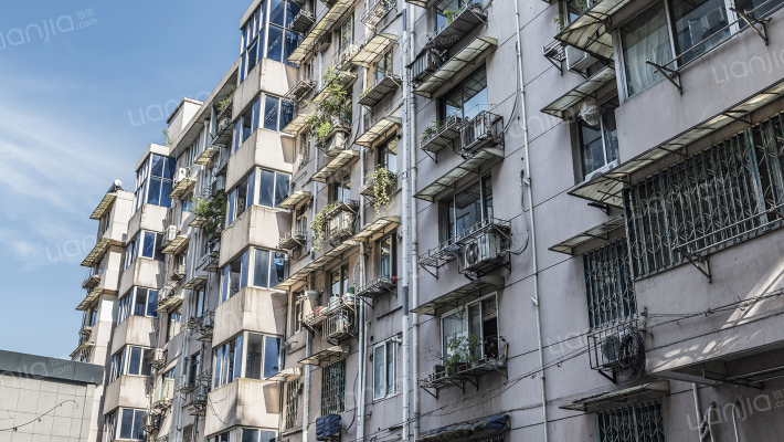 荷花池头外景图
