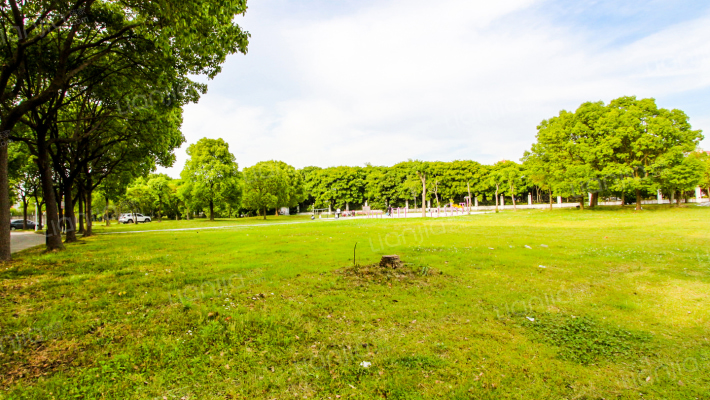 安琪花苑(别墅)外景图