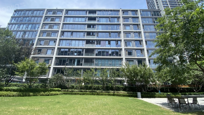 政务壹号外景图