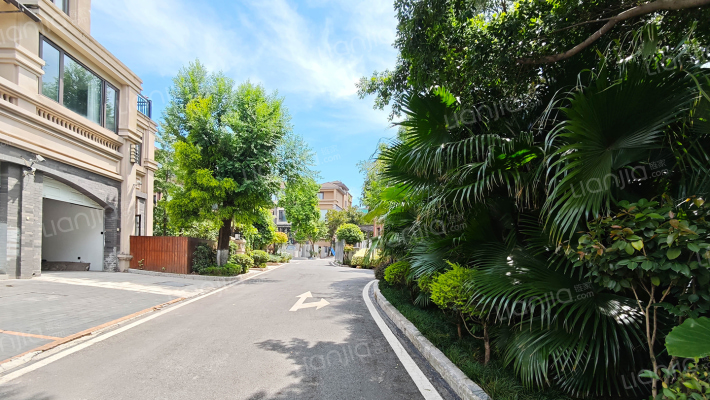 联发瞰青墅外景图