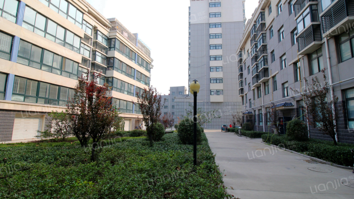 晨辉帝都城外景图