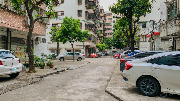沙头街六巷三号外景图