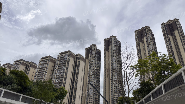 品秀星图外景图