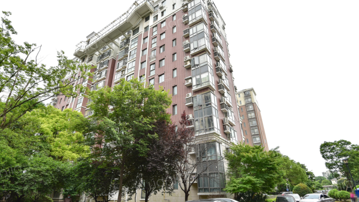 徐汇新城(公寓)外景图