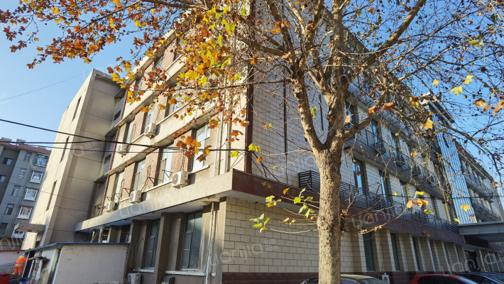 光明眼科宿舍外景图