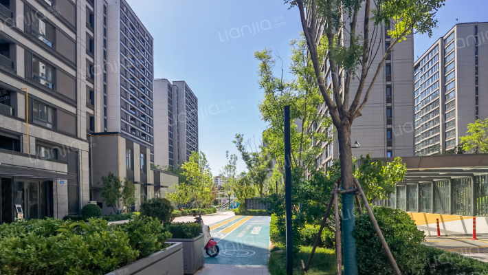 中交春映海河外景图