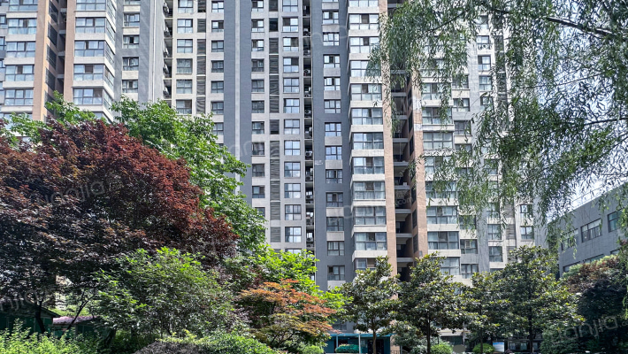 龙天名俊外景图