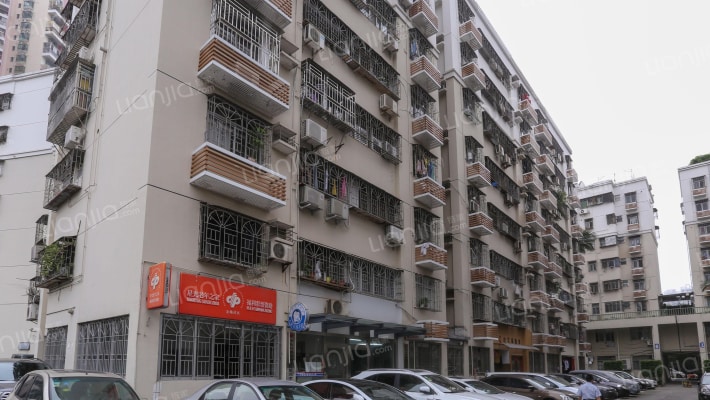 椰树花园外景图