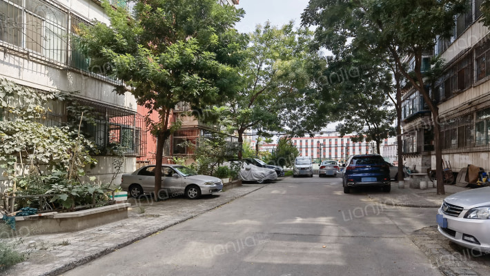 56中宿舍外景图