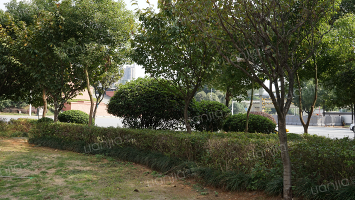 菲莎公馆外景图