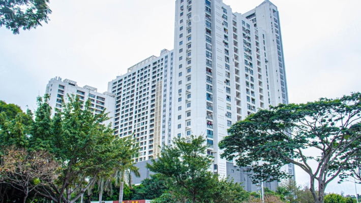 前埔边防公寓外景图