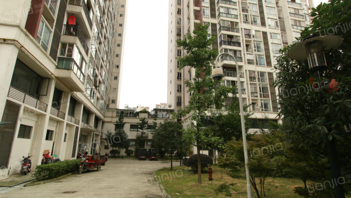 柳岸阳光外景图