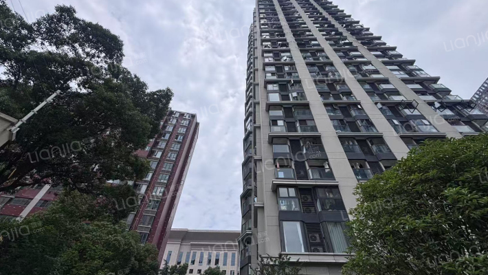 诚功新时代外景图