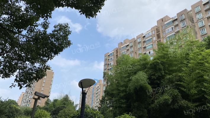 望族新城外景图