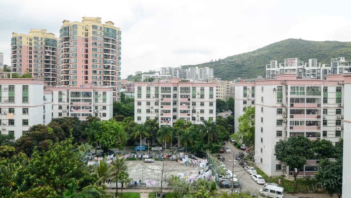 龙都花园外景图