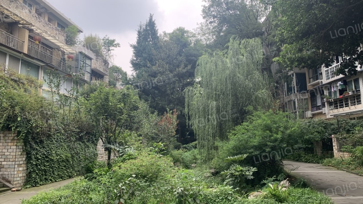 国色天香外景图