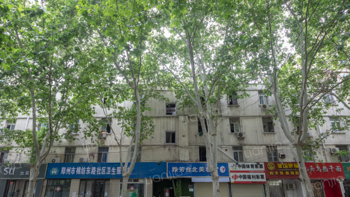 棉纺东路29号院外景图