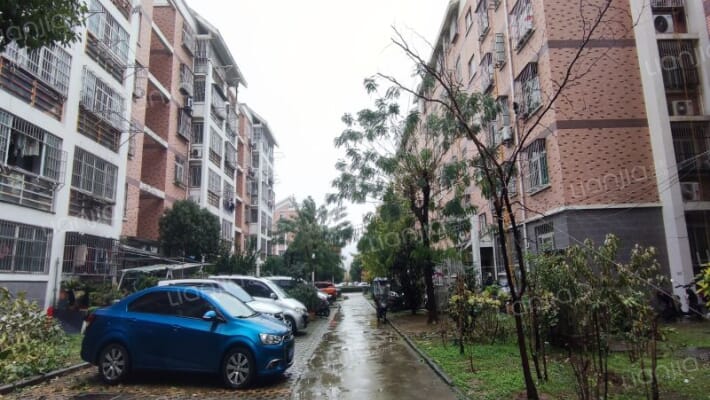 紫桐新村AB区外景图