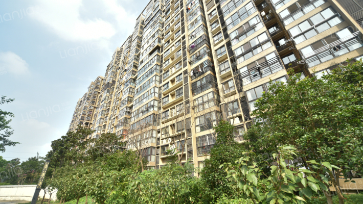 瑞都国际外景图