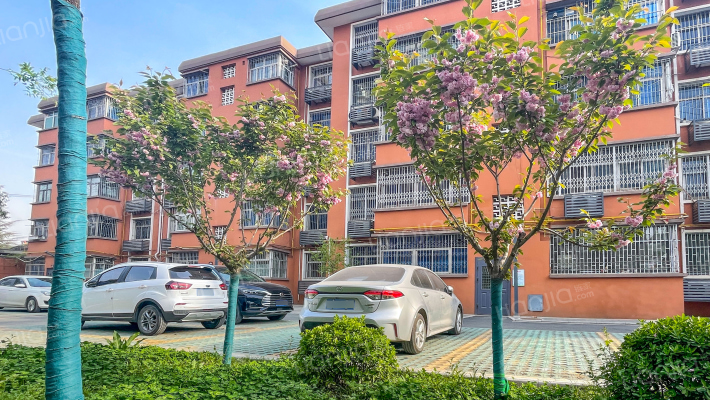 建管处小区外景图