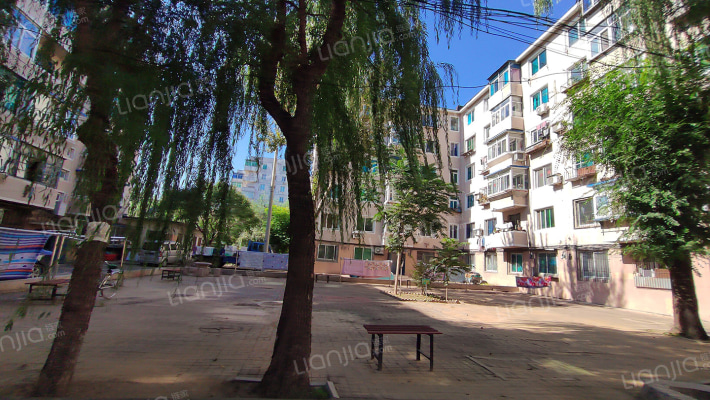 园西社区外景图