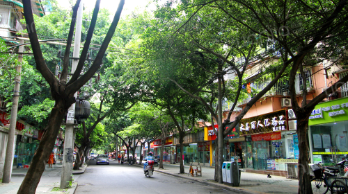 燃灯寺东街14号