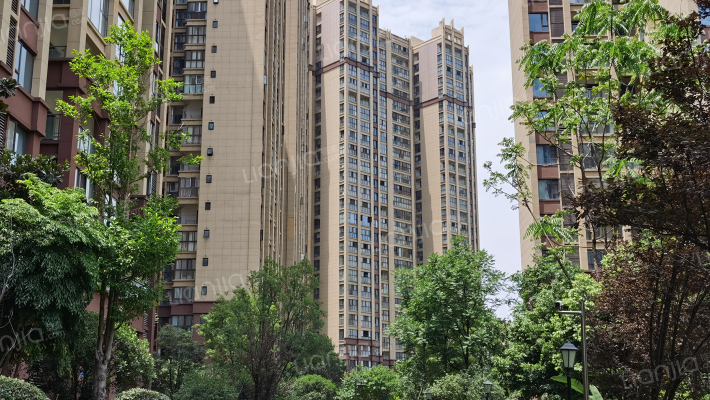 天立世纪华府外景图