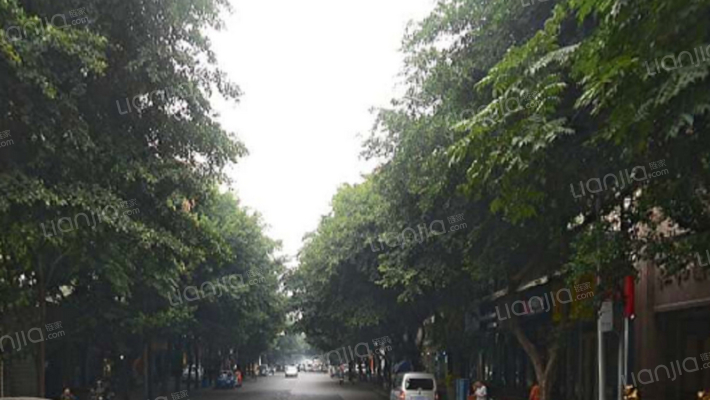 玉双路4号外景图