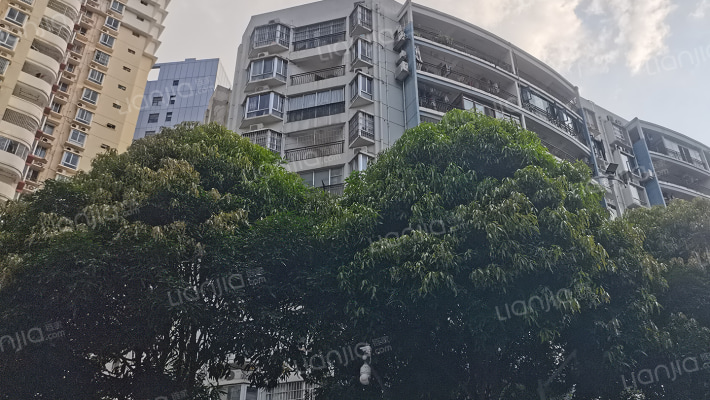 广西卫生厅幼儿园宿舍金花路2号外景图