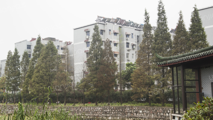 金箔路430号外景图