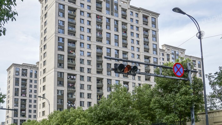 远洋大河宸章外景图