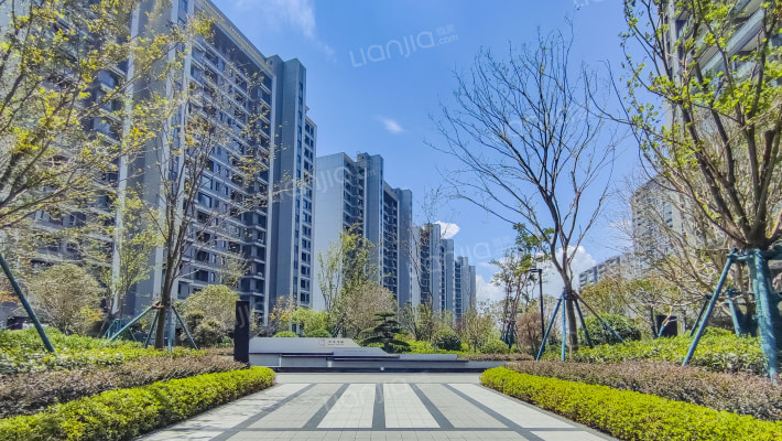 中南·春风里外景图