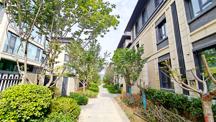 绿地御璟澜庭外景图