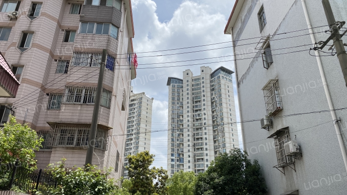 华梅花苑外景图