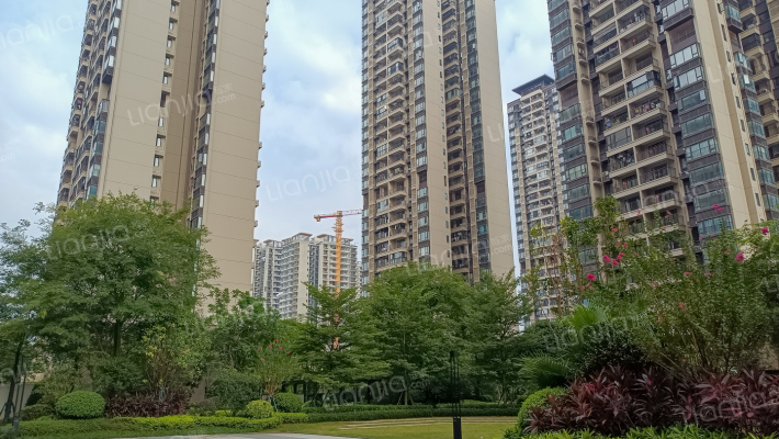 中南紫云集（南区）外景图