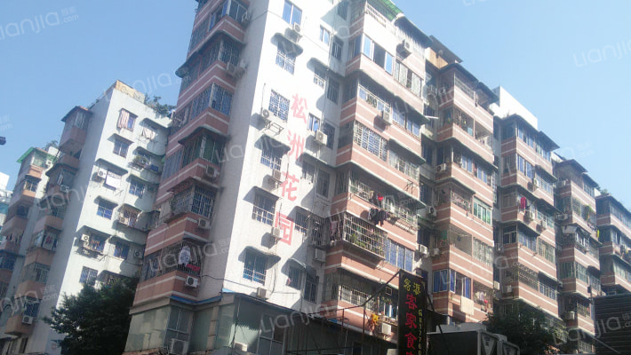 松洲花园外景图