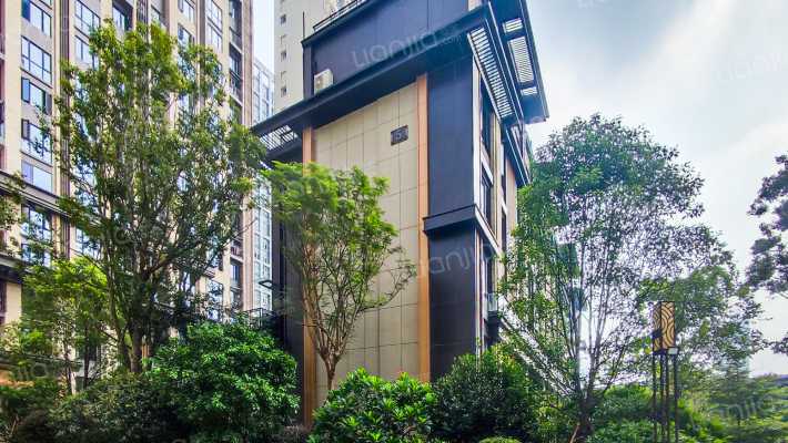 世茂国风宸曦外景图