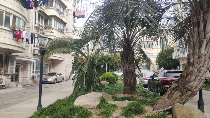 紫竹苑(闵行)外景图