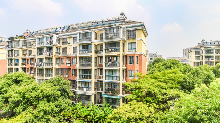 风和丽苑外景图