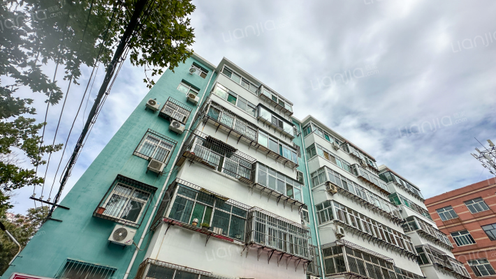 畜牧局256号院外景图