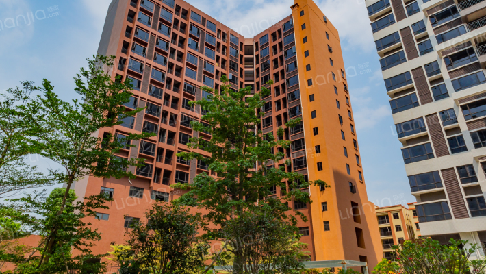 信泓领上外景图