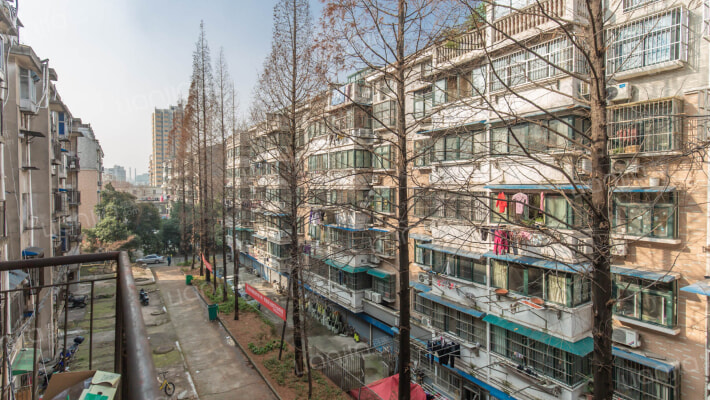 中山花园外景图