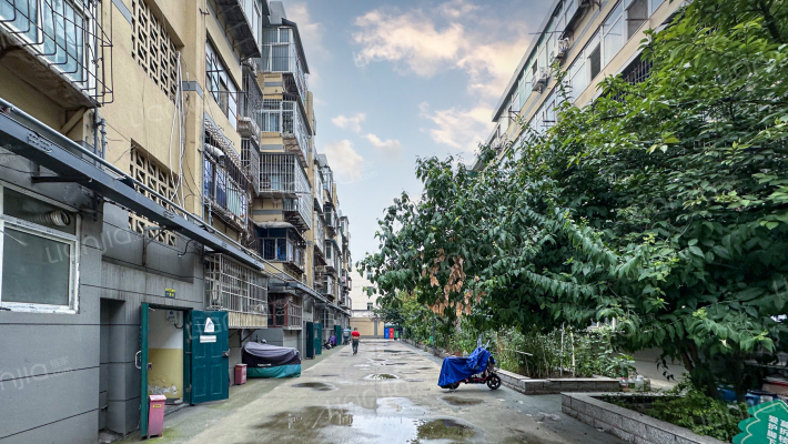 西北一路2号外景图