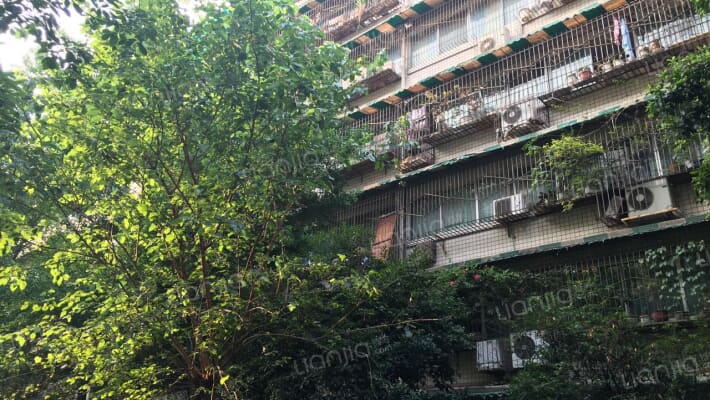 武侯祠东街3号外景图