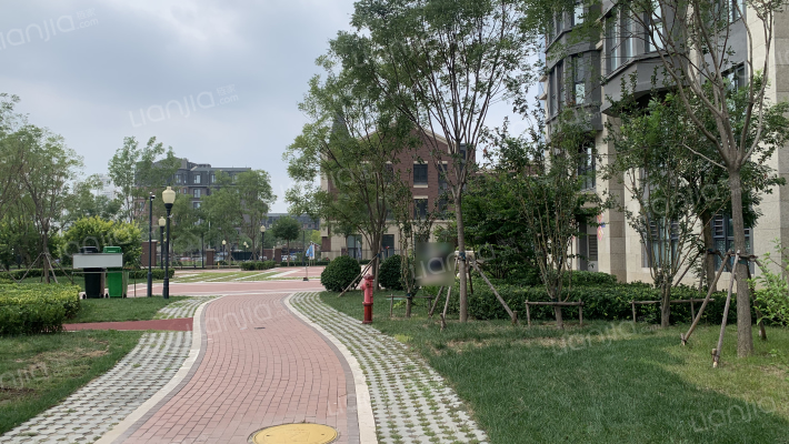 贝肯山云杉园外景图