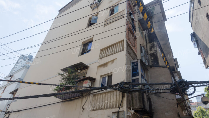 鹦鹉小道外景图