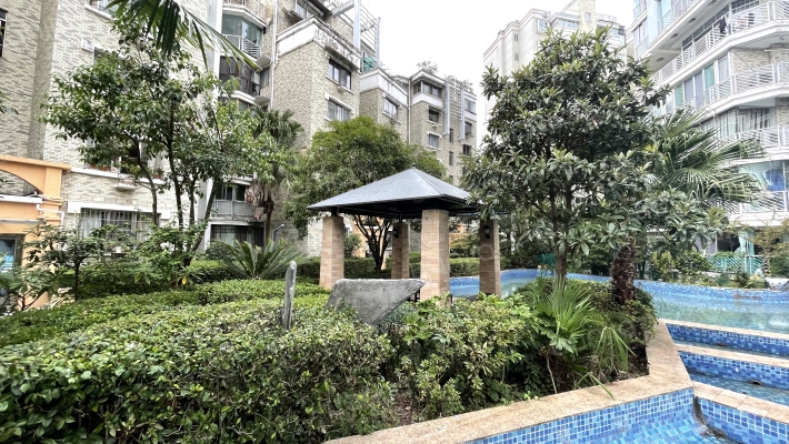 中天花园峰景时代外景图