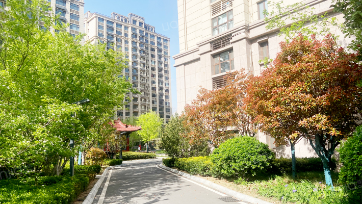 望岳园东区外景图