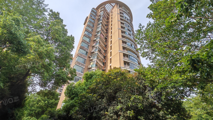 天阳棕榈湾金水岸外景图