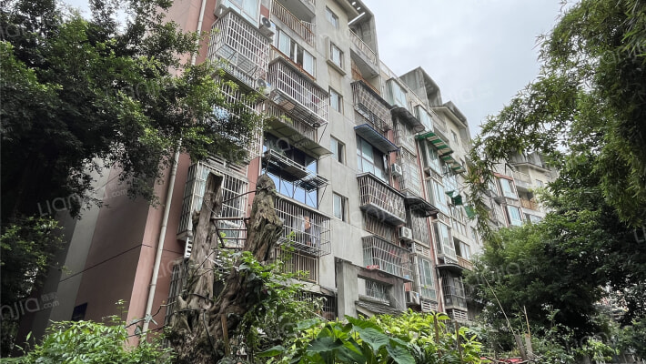 皇经楼新居一期外景图